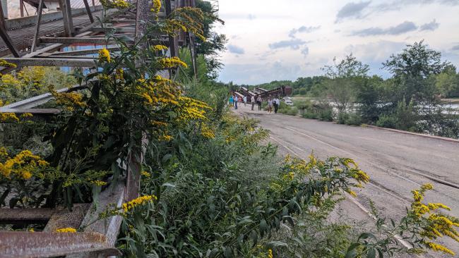 Community members at Upper Harbor Terminal A group of residents walking through an industrial site are dwarfed by plants and flowers growing among industrial equipment.