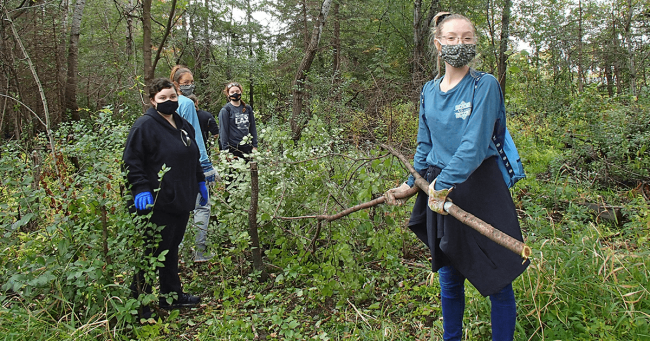 Four youth volunteers stand in a wooded area holding a large buckthorn branch.