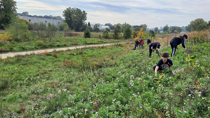 Youth working with plants