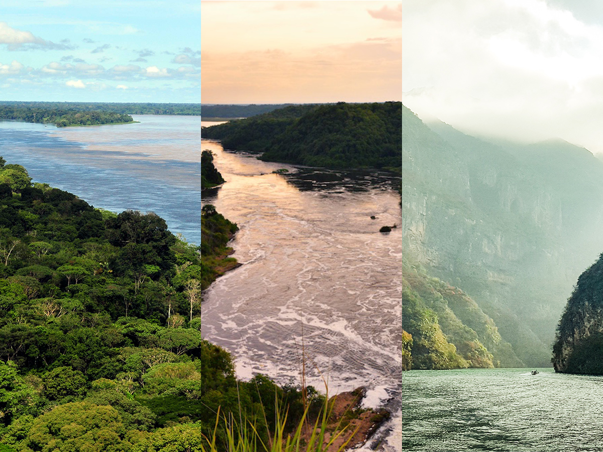 Write To The River Fall 2019 Special World Rivers Edition Friends Of The Mississippi River Write To The River Fall 2019 Special World Rivers Edition Friends Of The Mississippi River